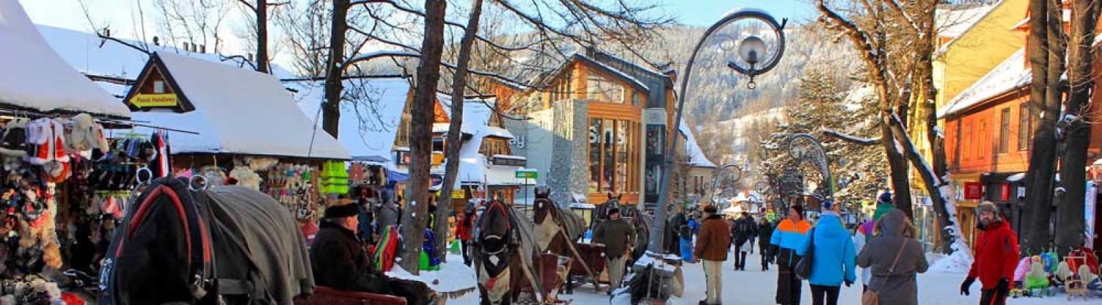 ЗИМОВІ КАНІКУЛИ В ТАБОРІ ROYAL HOLIDAY CAMP НА КУРОРТІ ЗАКОПАНЕ В ПОЛЬЩІ 2024