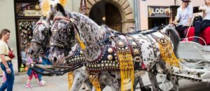 Випускний шкільний тур Прага та Краків